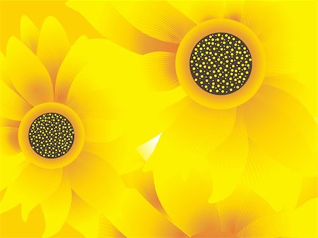 closeup view of sunflowers, vector illustration Stock Photo - Budget Royalty-Free & Subscription, Code: 400-04589209