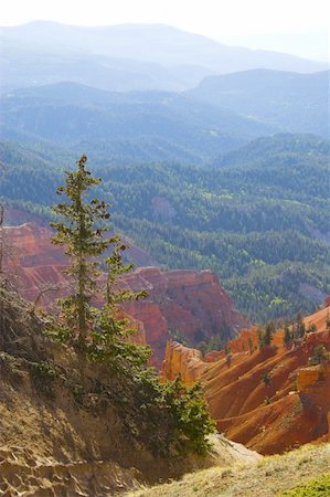 Cedar Breaks National Monument in Utah, USA Stock Photo - Budget Royalty-Free & Subscription, Code: 400-04589899