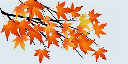 simsearch:400-06199703,k - Abstract tree with autumn leaves vector illustration Foto de stock - Super Valor sin royalties y Suscripción, Código: 400-04580342