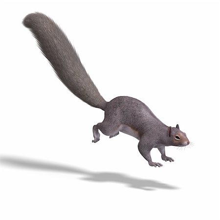 Rendering of a cute Squirrel with Clipping Path Stock Photo - Budget Royalty-Free & Subscription, Code: 400-04581063