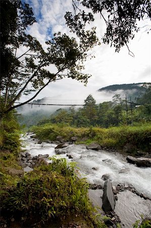 rain in nature forest with fog - A hanging bridge over rapids Stock Photo - Budget Royalty-Free & Subscription, Code: 400-04581411