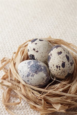quail eggs in nest, shallow DOF Foto de stock - Royalty-Free Super Valor e Assinatura, Número: 400-04581920