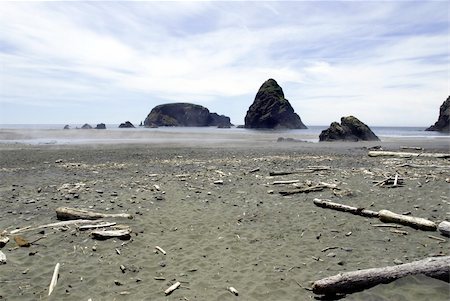 simsearch:400-05172889,k - Driftwood is scattered along a windswept beach on a rocky shoreline Photographie de stock - Aubaine LD & Abonnement, Code: 400-04582282