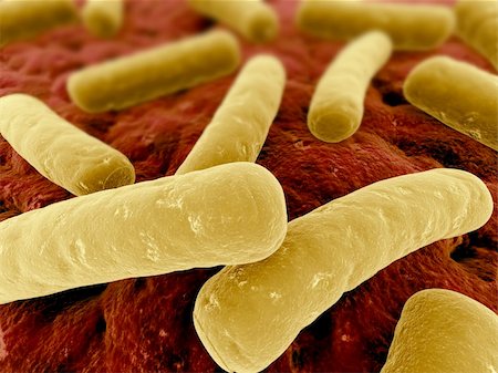 simsearch:400-05226095,k - 3d rendered illustration of some isolated bacteria Stock Photo - Budget Royalty-Free & Subscription, Code: 400-04594966