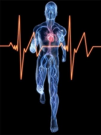 simsearch:400-04103615,k - 3d rendered illustration of a transparent running man with vascular system highlighted heart and heartbeat Foto de stock - Super Valor sin royalties y Suscripción, Código: 400-04595034