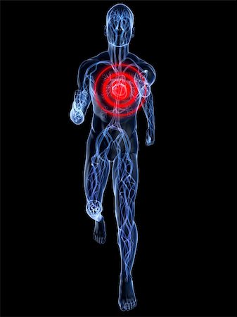 simsearch:400-04103615,k - 3d rendered illustration of a transparent running man with vascular system and highlighted heart Stock Photo - Budget Royalty-Free & Subscription, Code: 400-04595035