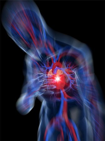 simsearch:400-04595056,k - 3d rendered illustration of a transparent human body with vascular system and highlighted heart and cardiac pain Photographie de stock - Aubaine LD & Abonnement, Code: 400-04595067