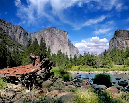 El Capitan View in Yosemite Nation Park on a Beautiful Sunny Day Stock Photo - Budget Royalty-Free & Subscription, Code: 400-04595315