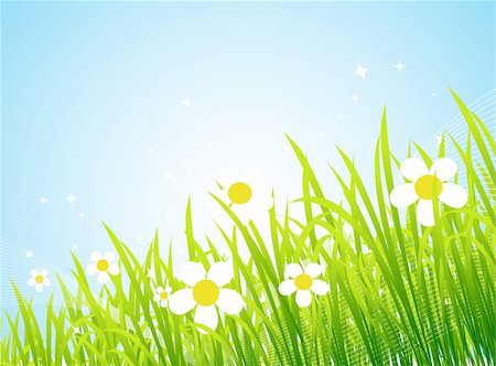 simsearch:400-04382842,k - Spring meadow beautiful Photographie de stock - Aubaine LD & Abonnement, Code: 400-04597087