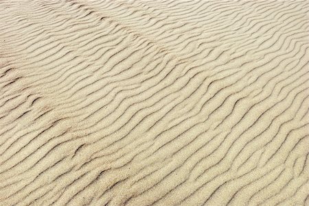 simsearch:400-09237669,k - Ripples in the sand on a sunny day. Stock Photo - Budget Royalty-Free & Subscription, Code: 400-04599474