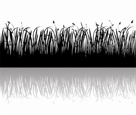 simsearch:400-05663944,k - Grass silhouettes vector Stock Photo - Budget Royalty-Free & Subscription, Code: 400-04599534