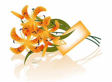 Vector valentine card. Tiger lilies and letter. Easy to edit and modify. EPS file included. Stock Photo - Budget Royalty-Free & Subscription, Code: 400-04599591