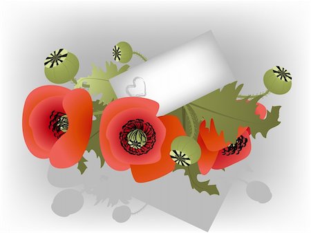 Vector poppy bunch with love letter. Easy to edit and modify. EPS file included. Stock Photo - Budget Royalty-Free & Subscription, Code: 400-04599621