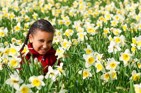 field of daffodil pictures - A beautiful young mixed race girl playing in a field of daffodils Stock Photo - Budget Royalty-Free & Subscription, Code: 400-04590034