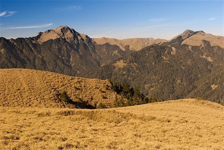 simsearch:400-05246721,k - Mountain landscape with golden grassland in the morning. Stockbilder - Microstock & Abonnement, Bildnummer: 400-04591147