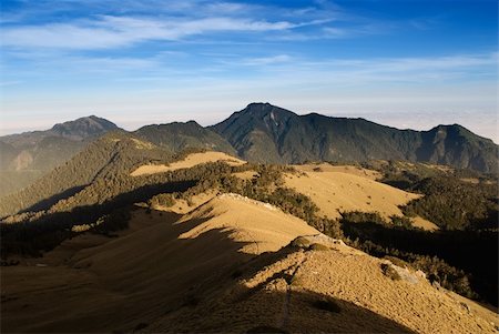 simsearch:400-05694686,k - Beautiful sunrise forest colored with golden light. Stock Photo - Budget Royalty-Free & Subscription, Code: 400-04591154