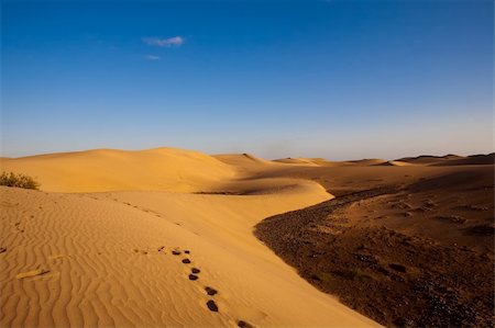 searching desert - footprints on desert dunes under blue sky Stock Photo - Budget Royalty-Free & Subscription, Code: 400-04591431