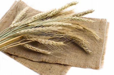 simsearch:400-06093195,k - Bundle of wheat ears isolated on cereal background Fotografie stock - Microstock e Abbonamento, Codice: 400-04591999