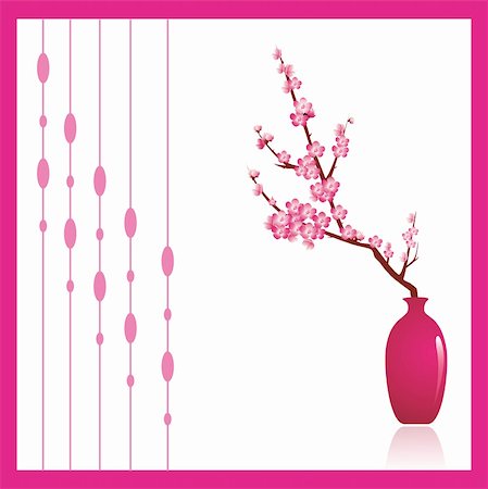 Cherry tree blossoms, a beautiful spring flower in a pink against white background. Decorative ornament to the left can be turned off to make copy space. Stock Photo - Budget Royalty-Free & Subscription, Code: 400-04604146