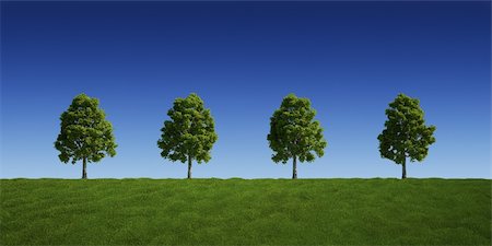 3d rendering of a green field 4 tree on a row Stock Photo - Budget Royalty-Free & Subscription, Code: 400-04604221