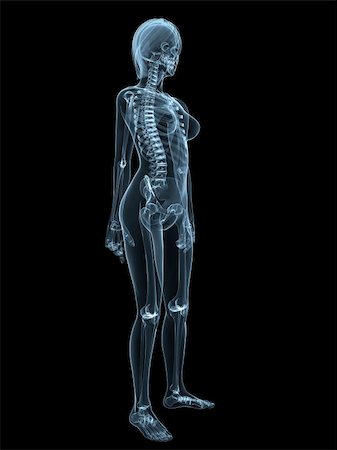 3d rendered illustration of a transparent female body with skeletal system Stock Photo - Budget Royalty-Free & Subscription, Code: 400-04604510