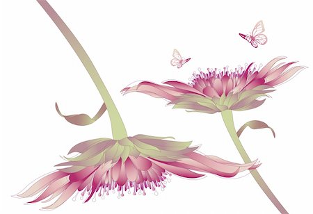 simsearch:400-07035863,k - Beautiful flower head with butterflies, vector Stockbilder - Microstock & Abonnement, Bildnummer: 400-04604525