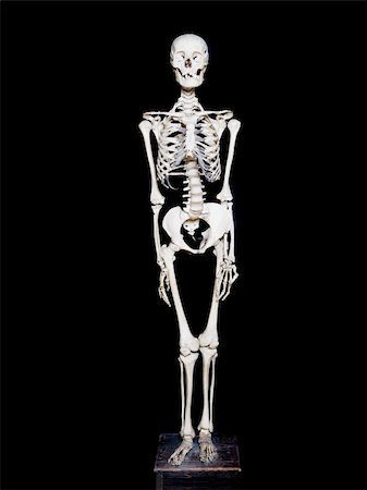 Skeleton towards black background Stock Photo - Budget Royalty-Free & Subscription, Code: 400-04604606