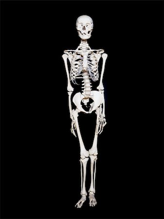 Skeleton towards black background Stock Photo - Budget Royalty-Free & Subscription, Code: 400-04604607