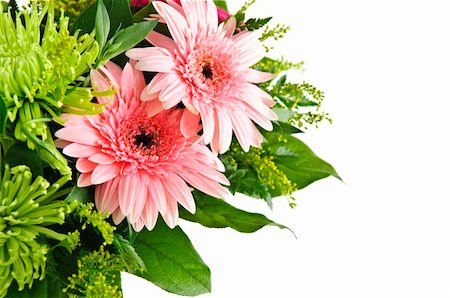 Close up of floral arrangement with pink gerberas Foto de stock - Super Valor sin royalties y Suscripción, Código: 400-04605486