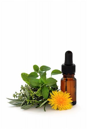 simsearch:400-09096754,k - Herb leaf sprigs of lavender, sage, thyme and oregano with a dandelion flower and aromatherapy essential oil dropper bottle, over white background. Foto de stock - Super Valor sin royalties y Suscripción, Código: 400-04605542
