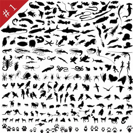 simsearch:400-04392655,k - # 1 set of  different animals, birds, insects and fishes  vector silhouettes Foto de stock - Super Valor sin royalties y Suscripción, Código: 400-04605598