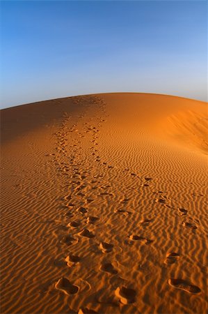 simsearch:851-02962083,k - sunset over Sahara desert (Morocco) Photographie de stock - Aubaine LD & Abonnement, Code: 400-04605894