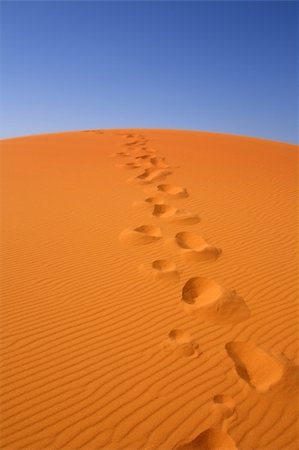 walking on Sahara, Erg Chebbi, Morocco , focus set in foreground Photographie de stock - Aubaine LD & Abonnement, Code: 400-04605895