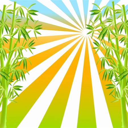 simsearch:633-06322309,k - vector illustration of bamboo on sunny background Stock Photo - Budget Royalty-Free & Subscription, Code: 400-04606326