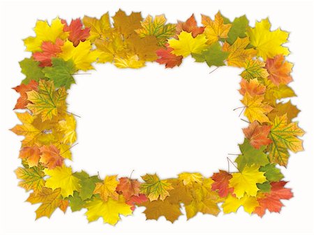 simsearch:400-04475632,k - Colorful autumn framework made from maple leaves, isolated on white background Foto de stock - Royalty-Free Super Valor e Assinatura, Número: 400-04606817