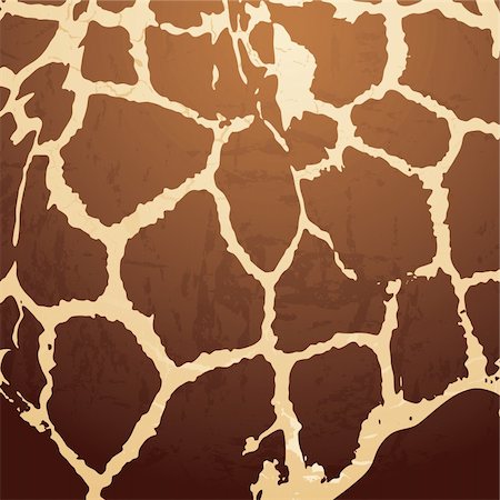 brown Animal skin background with a textured effect Stock Photo - Budget Royalty-Free & Subscription, Code: 400-04607200