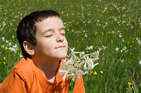field of daffodil pictures - Boy smelling flowers in the meadow Stock Photo - Budget Royalty-Free & Subscription, Code: 400-04607651