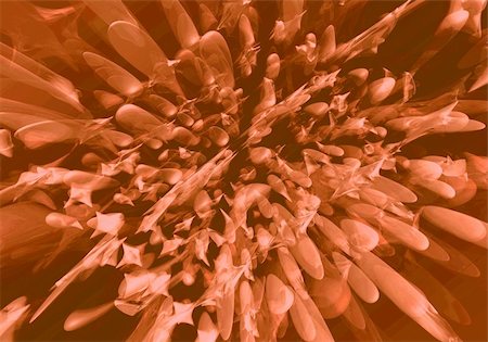 simsearch:400-04608630,k - Abstract exploding organic tissue - digital artwork Photographie de stock - Aubaine LD & Abonnement, Code: 400-04608655