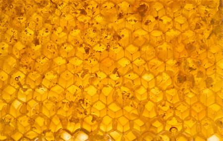 Honey in honeycomb close-up background Stock Photo - Budget Royalty-Free & Subscription, Code: 400-04609098