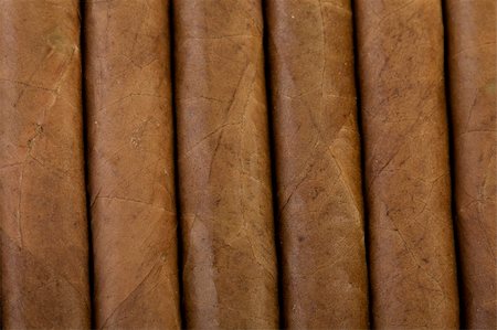 simsearch:400-05292494,k - Closeup of cuban cigars in a box Stock Photo - Budget Royalty-Free & Subscription, Code: 400-04609615