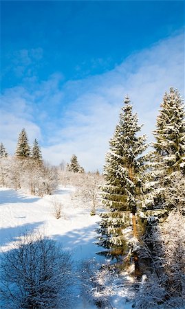 simsearch:400-04820244,k - winter calm mountain landscape with rime and snow covered spruce trees Photographie de stock - Aubaine LD & Abonnement, Code: 400-04601091