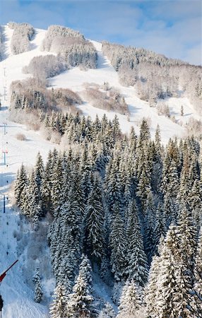 simsearch:400-04820244,k - winter calm mountain landscape with snow-covered spruce-trees and ski ropeway Photographie de stock - Aubaine LD & Abonnement, Code: 400-04601092