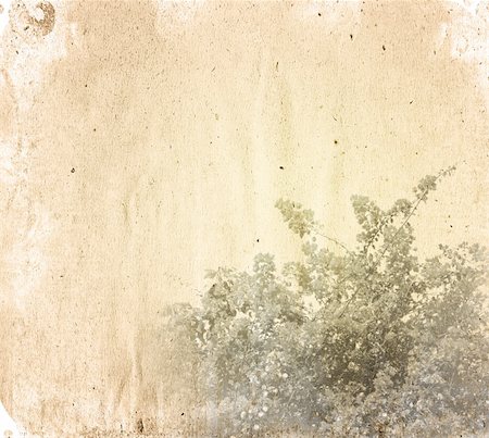 decaying antique books - old flower paper texture background Stock Photo - Budget Royalty-Free & Subscription, Code: 400-04601147