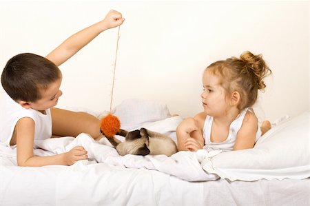 Kids playing with a yern ball and a kitten on the bed Stock Photo - Budget Royalty-Free & Subscription, Code: 400-04602301
