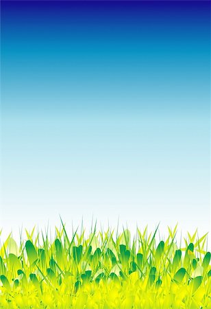 Colorful green grass and beautiful sky Stock Photo - Budget Royalty-Free & Subscription, Code: 400-04603542