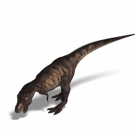 simsearch:400-05130767,k - T-Rex. 3D render with clipping path and shadow over white Stock Photo - Budget Royalty-Free & Subscription, Code: 400-04616785