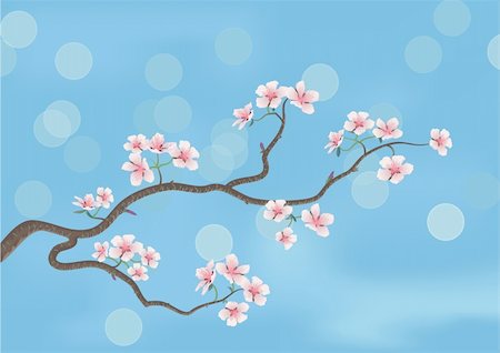 simsearch:400-04907882,k - This is the illustration of a flowered sakura, japanese cherry tree Fotografie stock - Microstock e Abbonamento, Codice: 400-04617074