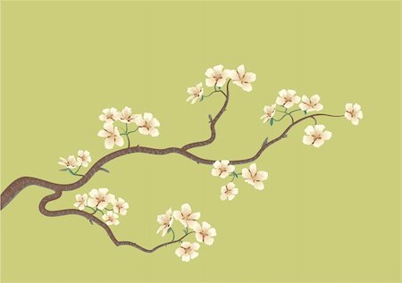 simsearch:400-04907882,k - This is the vector illustration of a flowered sakura, japanese cherry tree Fotografie stock - Microstock e Abbonamento, Codice: 400-04617076