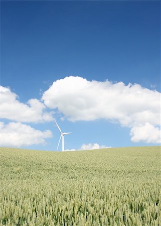 denmark environmental problems - Windmill on a wheat field in Jutland, Denmark on a sunny summer day. Stock Photo - Budget Royalty-Free & Subscription, Code: 400-04617208