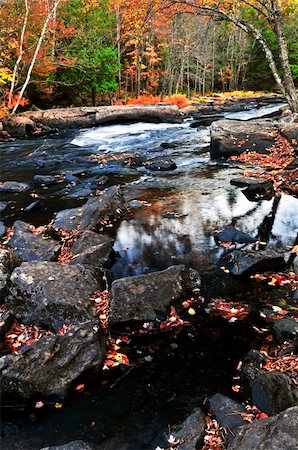 simsearch:400-04452321,k - Forest river in the fall. Algonquin provincial park, Canada. Foto de stock - Royalty-Free Super Valor e Assinatura, Número: 400-04617413